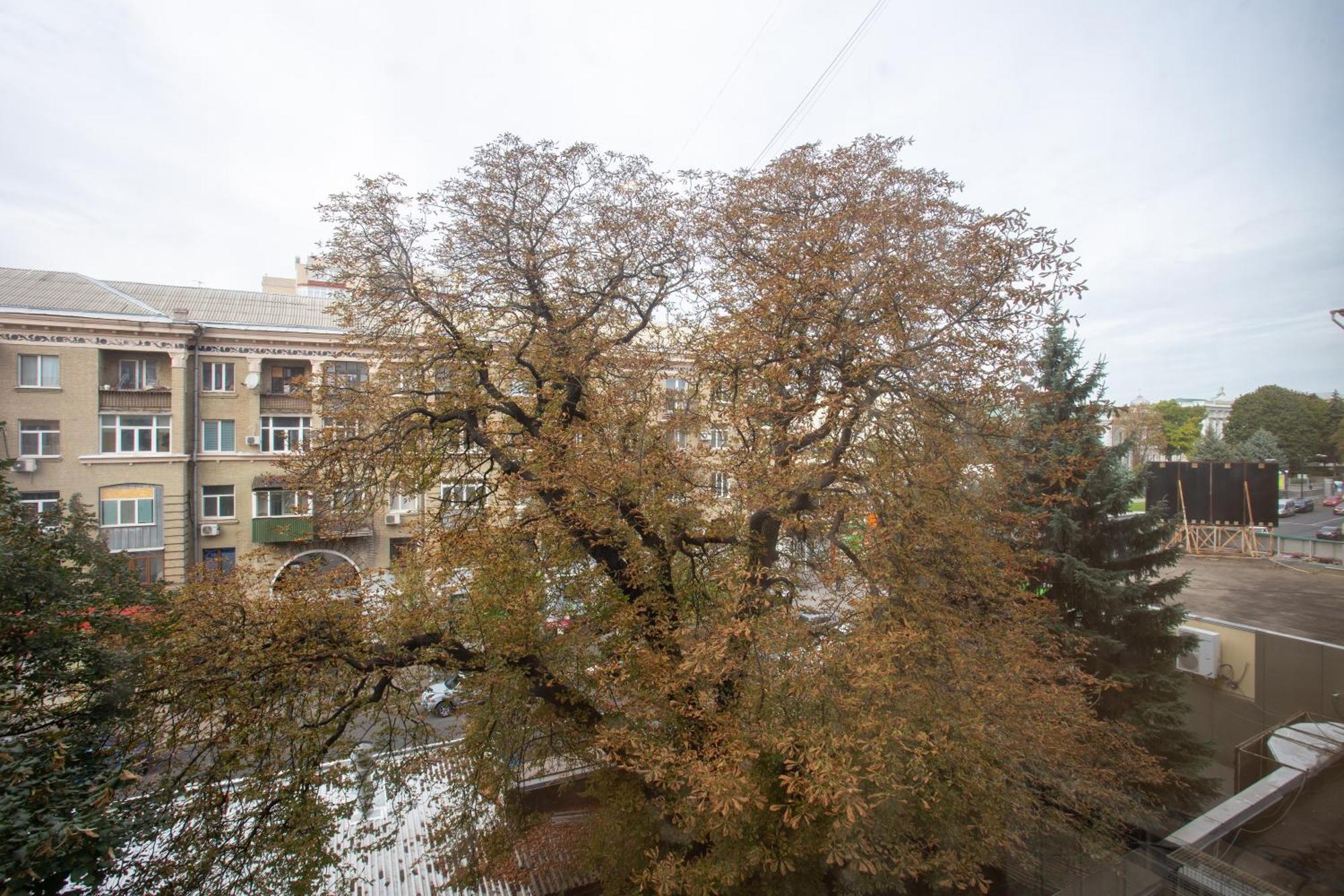 Skovorody Metro Station Apartment Kharkov Ngoại thất bức ảnh